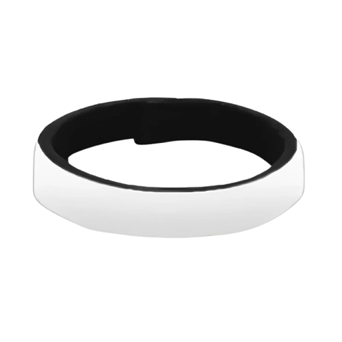 Wristband